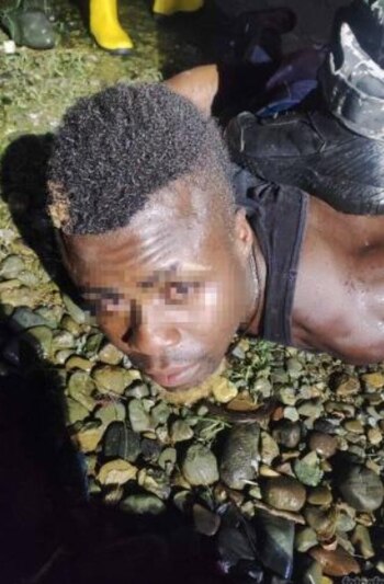 Elvi Rolando Zuñiga Girón (Elvi)
Fuente: