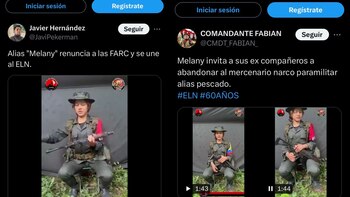 Guerrillera de las disidencias de