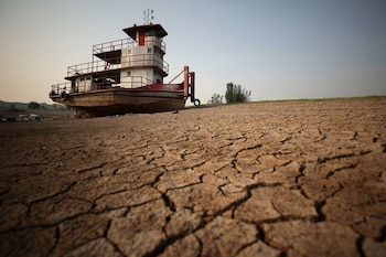 Las proyecciones indican que para el año 2100 la Amazonía perderá carbono más rápido, con una aceleración de hasta el 15% si continúan las altas emisiones./Archivo REUTERS/Bruno Kelly