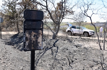 Incendio forestal en Fermoselle (Zamora), este jueves. (EFE/Mariam A. Montesinos)
