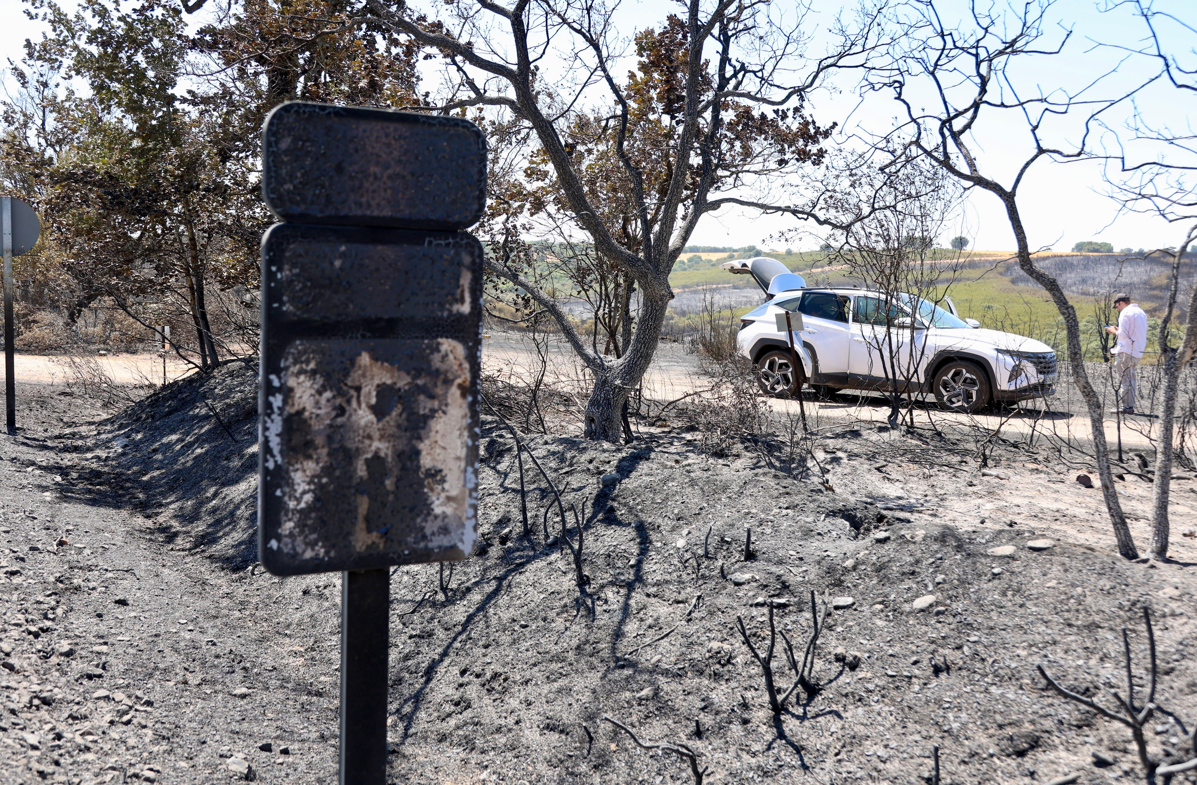 Incendio forestal en Fermoselle (Zamora), este jueves. (EFE/Mariam A. Montesinos)