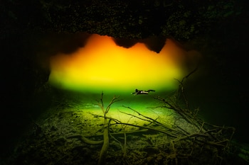 Estas fueron las fotografías que