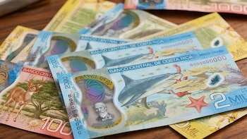 Un informe oficial señala que el país logró mantener el flujo de capital extranjero por encima de los cinco mil millones de dólares durante 2025, impulsando la reinversión y la diversificación de sectores y mercados de origen (Creación IA).