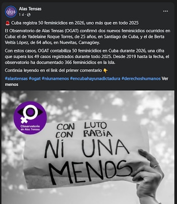 Observatorio de Género Alas Tensas y el registro de 2026: qué detalles quedan fuera de las cifras oficiales en la isla.