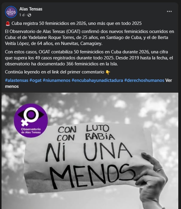 Observatorio de Género Alas Tensas y el registro de 2026: qué detalles quedan fuera de las cifras oficiales en la isla.