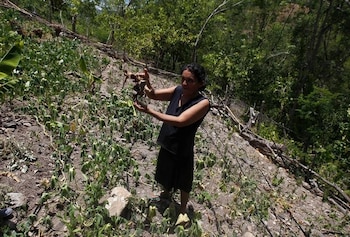 FOTO DE ARCHIVO. Autoridades buscan garantizar la seguridad alimentaria ante el impacto del fenómeno El Niño. (Foto: REUTERS/Jorge Cabrera)