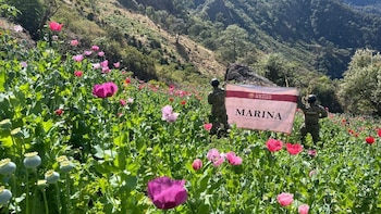 Marina localiza y destruye más