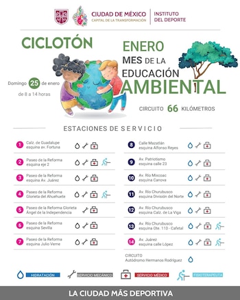 Catorce estaciones de servicio se