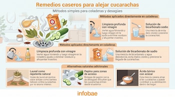 Infografía con cucarachas y diversos remedios caseros: vinagre, bicarbonato de sodio, hojas de laurel, pepino, ácido bórico y azúcar. Muestra desagües.