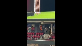 La presencia de gogós en