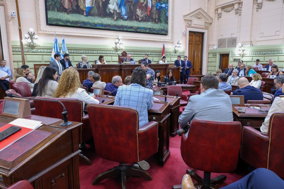 Por decisión unánime, la Legislatura de Santa Fe suspendió a Benegas