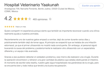 pedro sola clinica Yaakunah -México- 18 julio