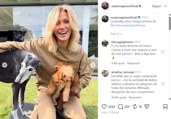 Susanna Griso con sus dos nuevos caniches y su galgo (Instagram)