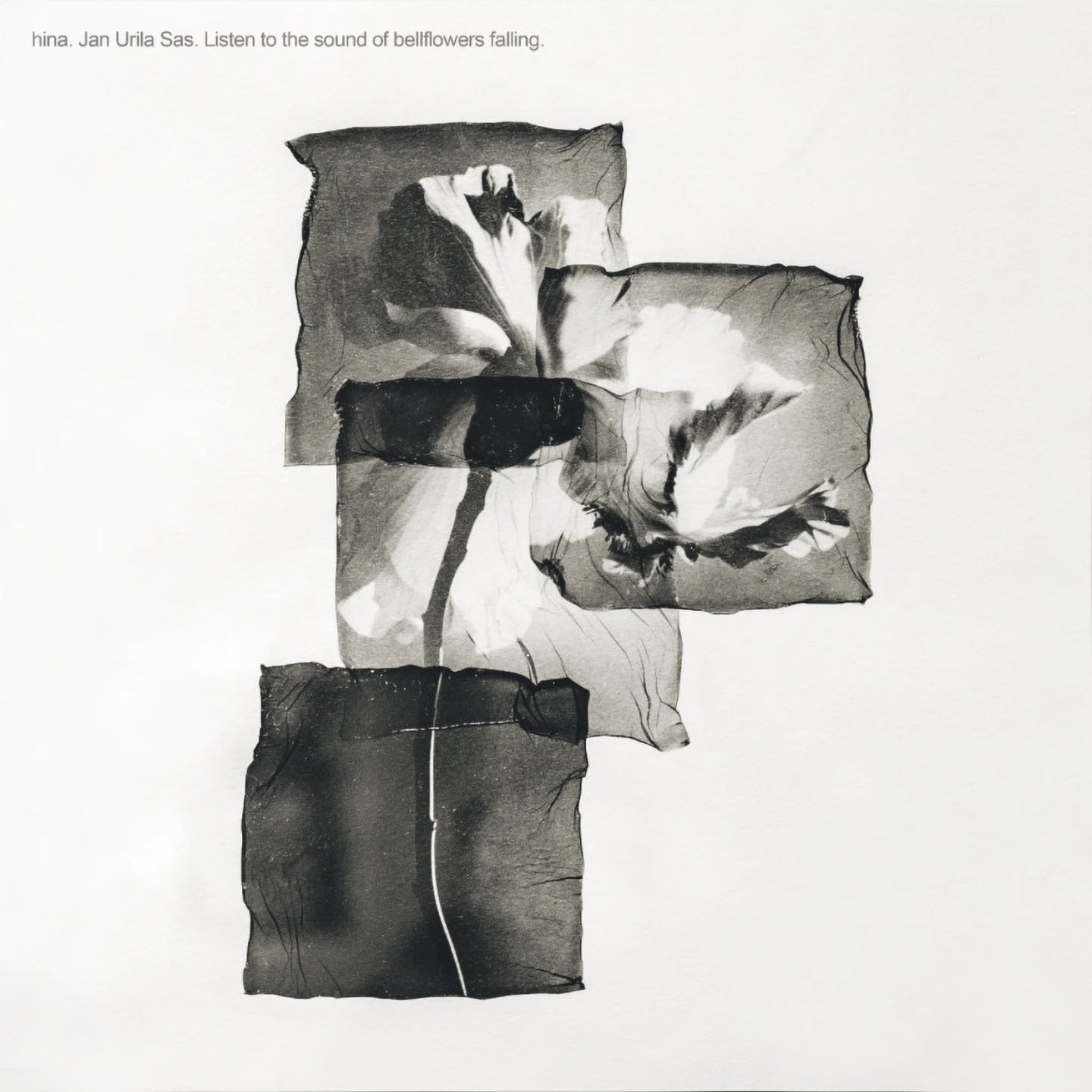 “Escuchar el sonido de las campanillas al caer” de Kentaro Takahashi