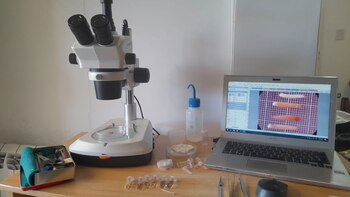 Ana Julia siempre tuvo en