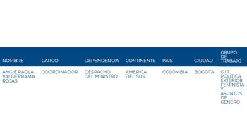 En el directorio institucional de la Cancillería, Angie Paola Valderrama figura actualmente como coordinadora del Grupo Interno de Trabajo (GIT) de Política Exterior Feminista y Asuntos de Género - crédito Cancillería