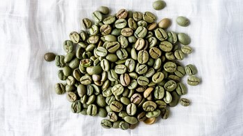El café verde ha comenzado