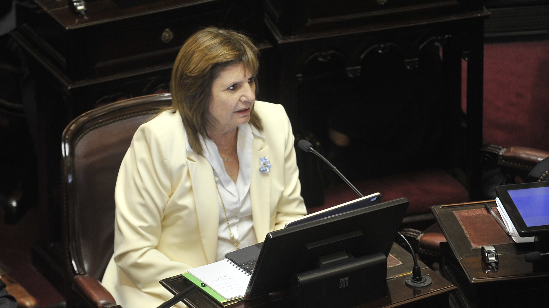 Patricia Bullrich hizo el cierre por parte del oficialismo (Foto: Gustavo Gavotti)