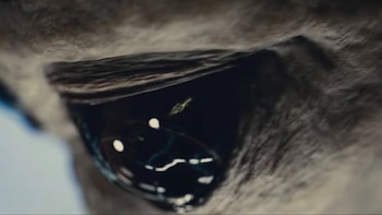 Disclosure Day: la nueva película de Steven Spielberg sobre el posible contacto con extraterrestres