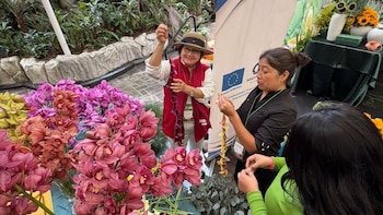 Guatemala busca aprovechar el acceso preferencial a Estados Unidos para impulsar su oferta de plantas ornamentales