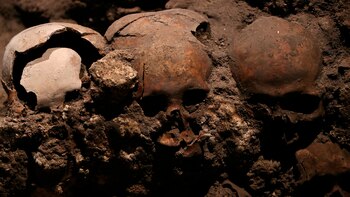 “Culto a la vida”: la