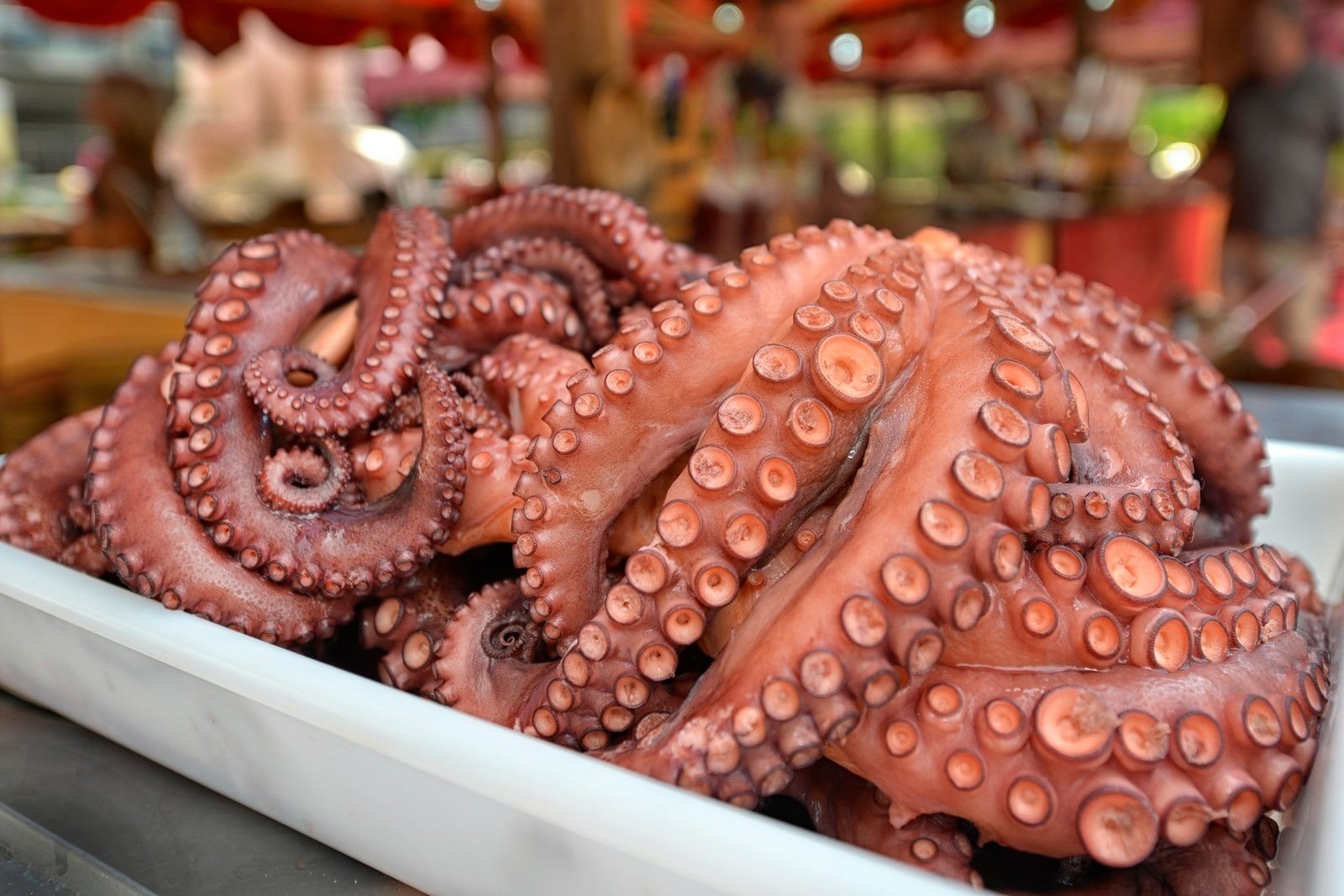 Imagen de archivo de pulpo gallego. (Europa Press)