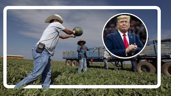 Trump amplía visas agrícolas para
