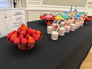 Las frutillas argentinas que llegan