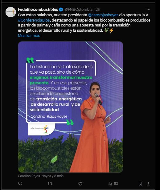 Carolina Rojas, presidenta de Fedebiocombustibles, señaló que la proyección a mediano y largo plazo se centra en impulsar iniciativas orientadas a la fabricación de combustibles sostenibles para el sector aéreo y marítimo - crédito @FNBColombia/X