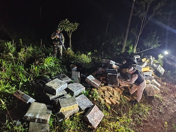 Prefectura secuestró más de tres toneladas de droga en Misiones