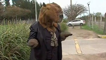 Así llegó disfrazado uno de