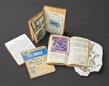 Además de los diarios y