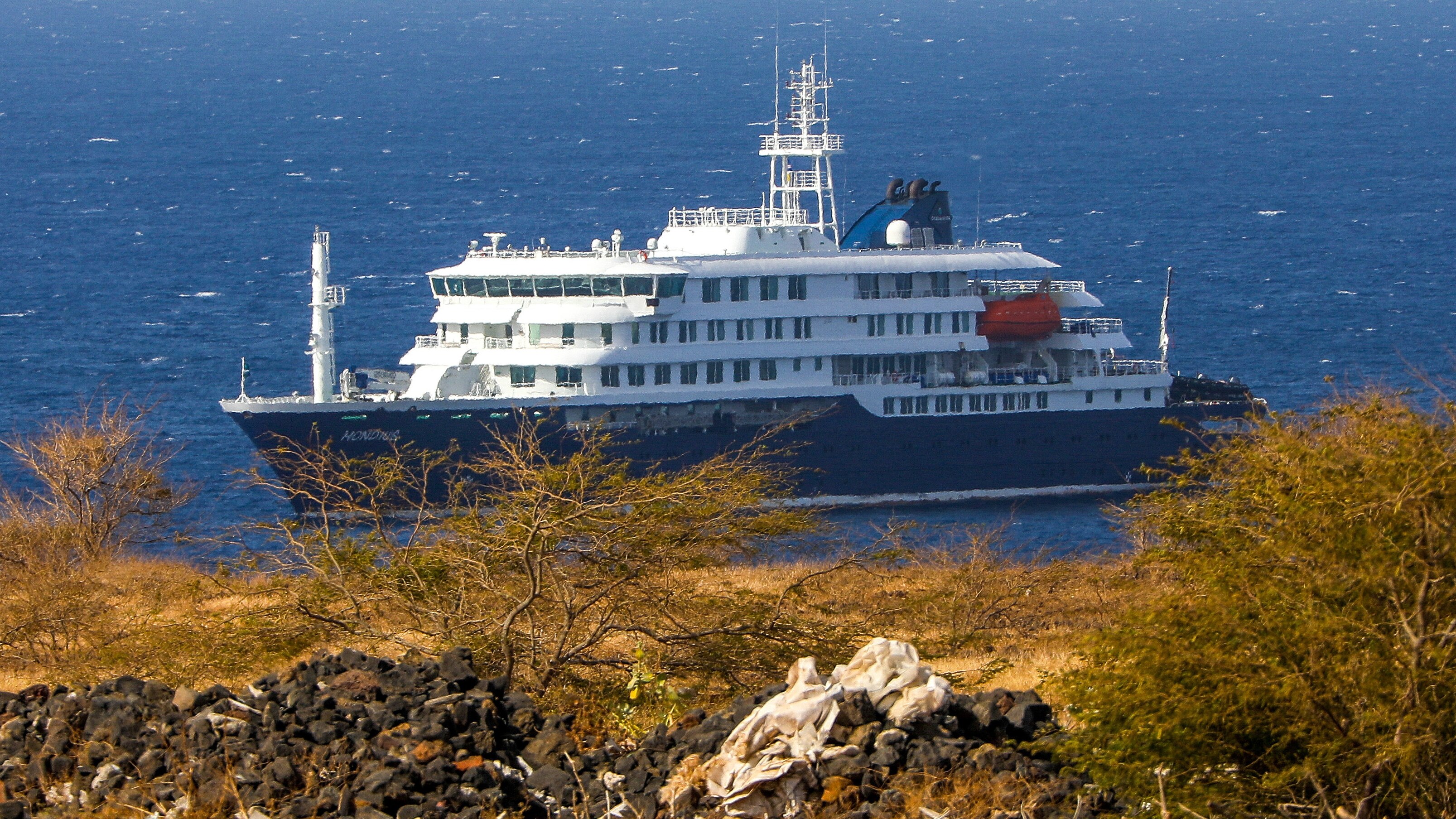 Brote de Hantavirus en Crucero Desata Alerta Sanitaria Internacional — image 4
