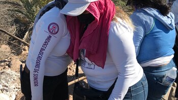 Prosecutor's Office will analyze alleged