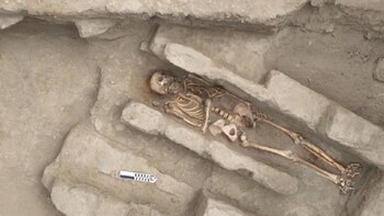 El hallazgo proporciona detalles únicos