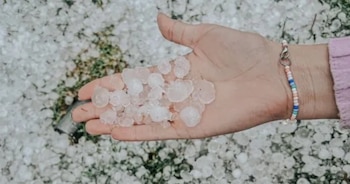 Las autoridades se encuentran en