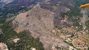 El Supremo rebaja la pena
