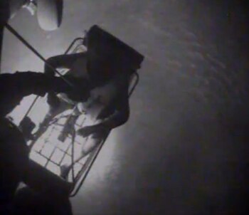 Los rescatistas grabaron la escena