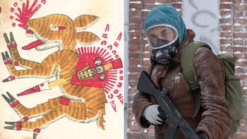 Cómo serían los “cascarudos” de