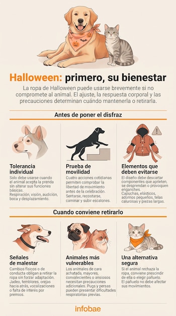 Infografía con ilustraciones de perros y gatos que expone recomendaciones, pruebas de movilidad y advertencias sobre prendas para mascotas.