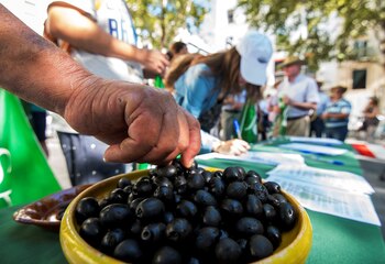 Agricultores, cooperativistas, entamadores y envasadores