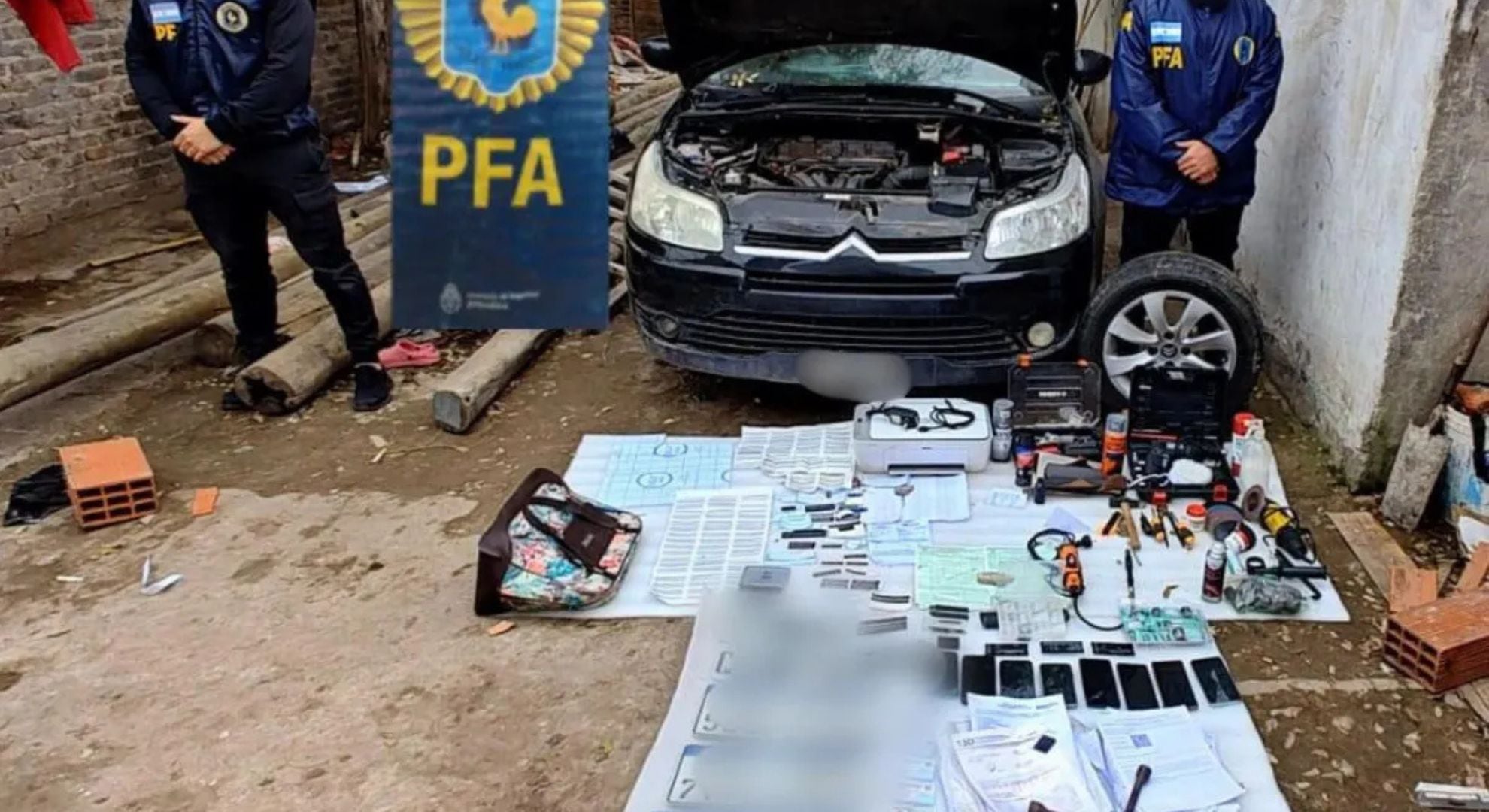 La banda fue detectada por su actividad en internet (Gentileza: El Diario Sur)
