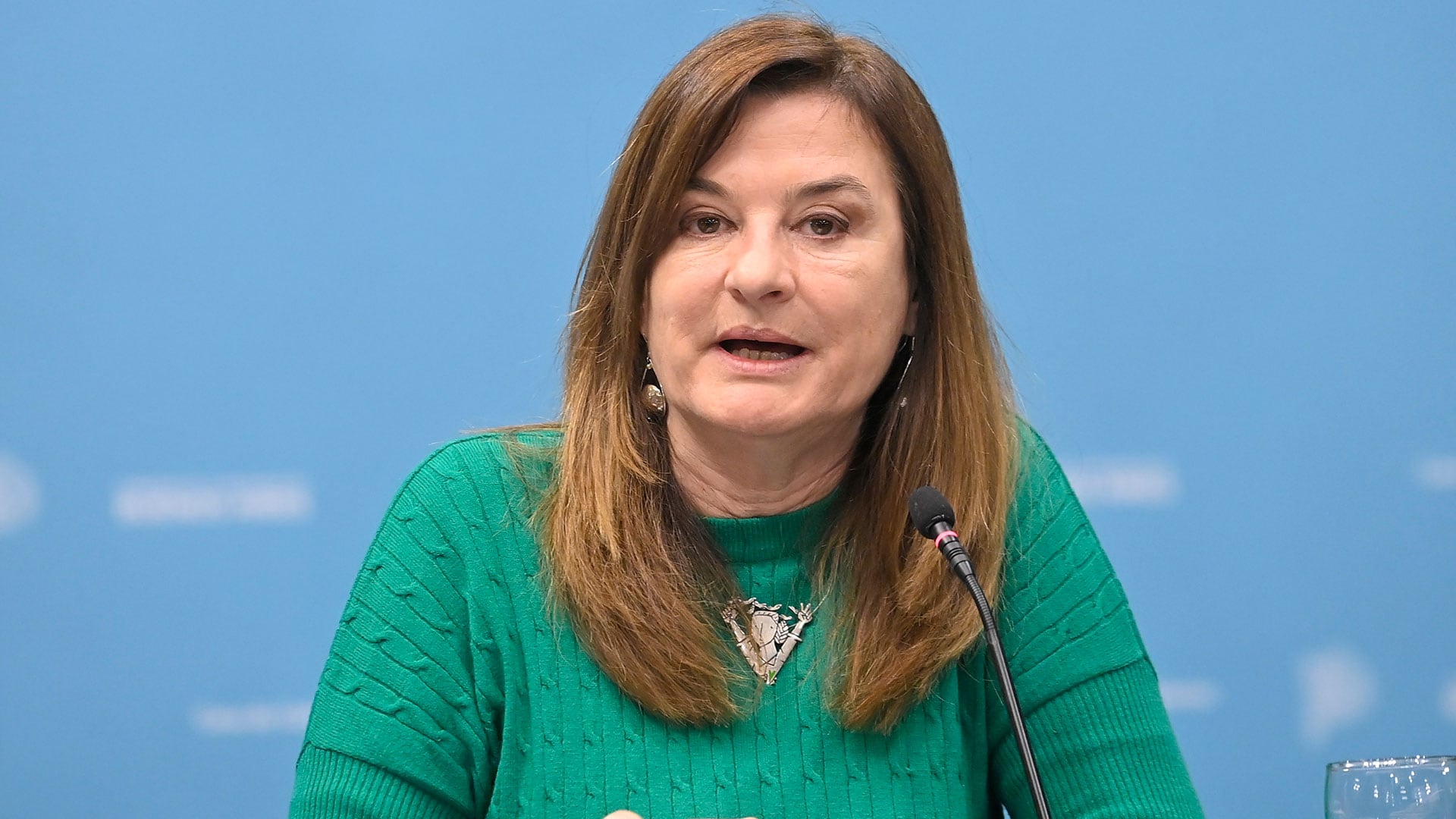 Estela Díaz negó haber conocido los hechos antes de asumir en el cargo