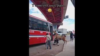 La presencia de una llama