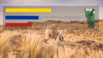 Resultados Elecciones 2021 en San