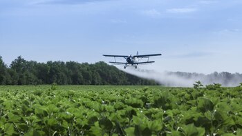Postergan por un año la