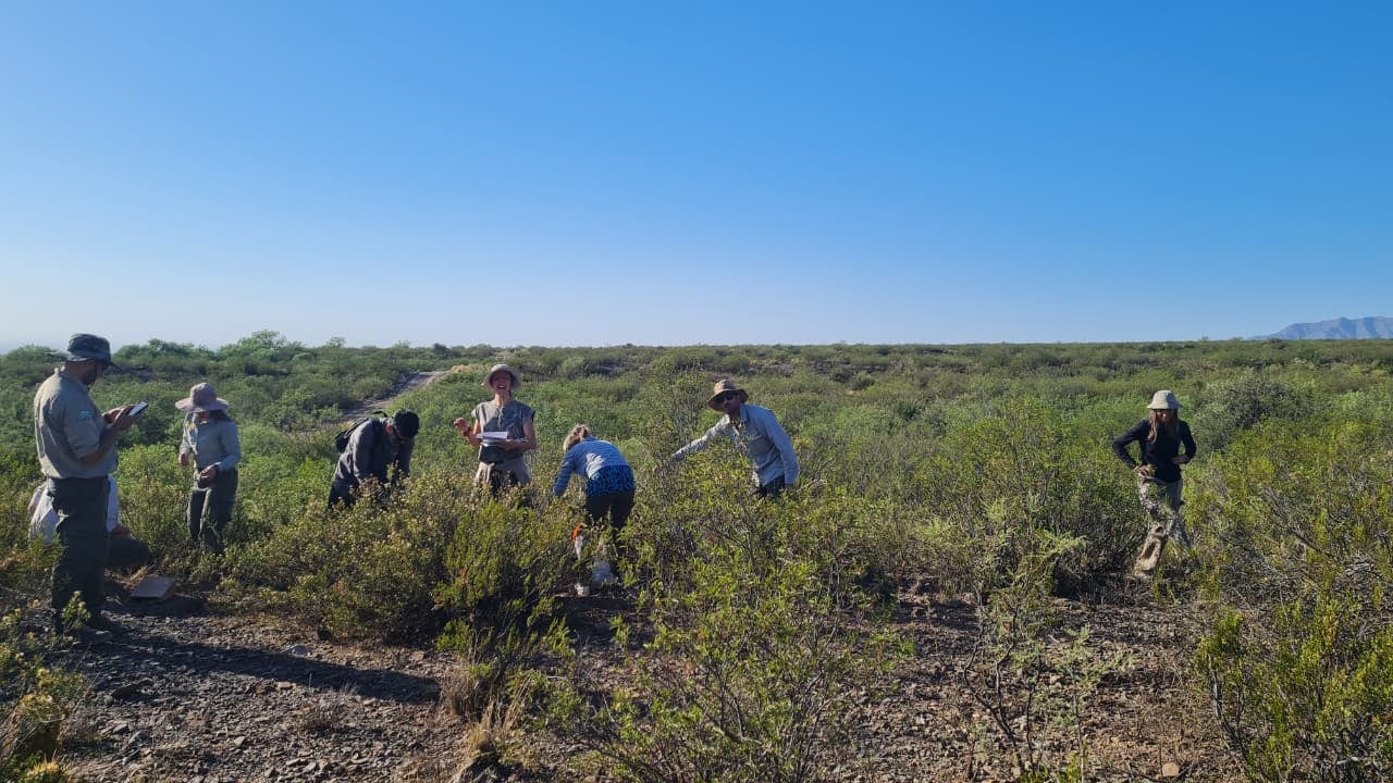 Investigadores, guardaparques, puesteros y comunidades comparten el desafío de conservar uno de los territorios protegidos más extensos de Mendoza (Villavicencio)