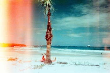 Fotografía con filtración de luz que muestra una palmera en la arena blanca de una playa, una persona sentada y el mar en el fondo