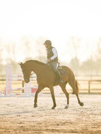 Franco Trabucco es el nuevo