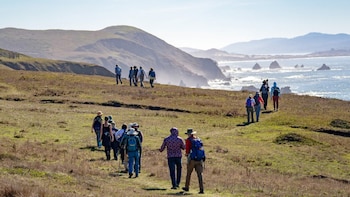 El acceso gratuito a la